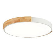 SLE201352-01 Светильник потолочный Белый, Светлое дерево/Белый LED 1*40W 3000K/4000K/6000K ДЕЛИА 500_191_2954838